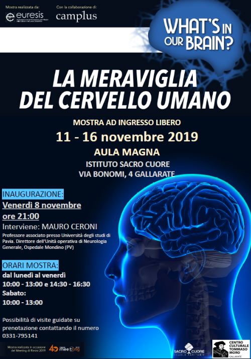 Featured image for “What’s in our brain? La meraviglia del cervello umano”