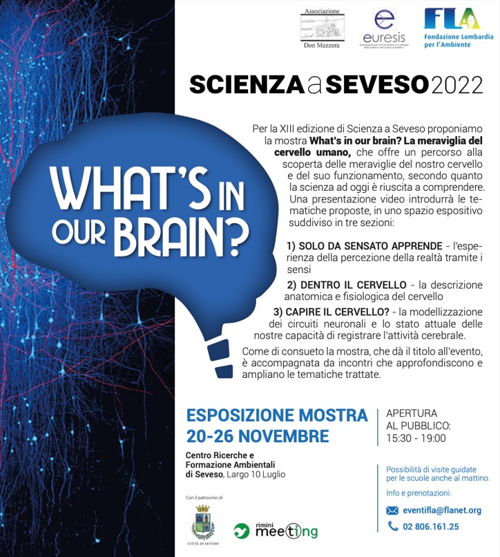 Featured image for “What’s in our brain? La meraviglia del cervello umano”